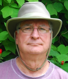 David Stevens